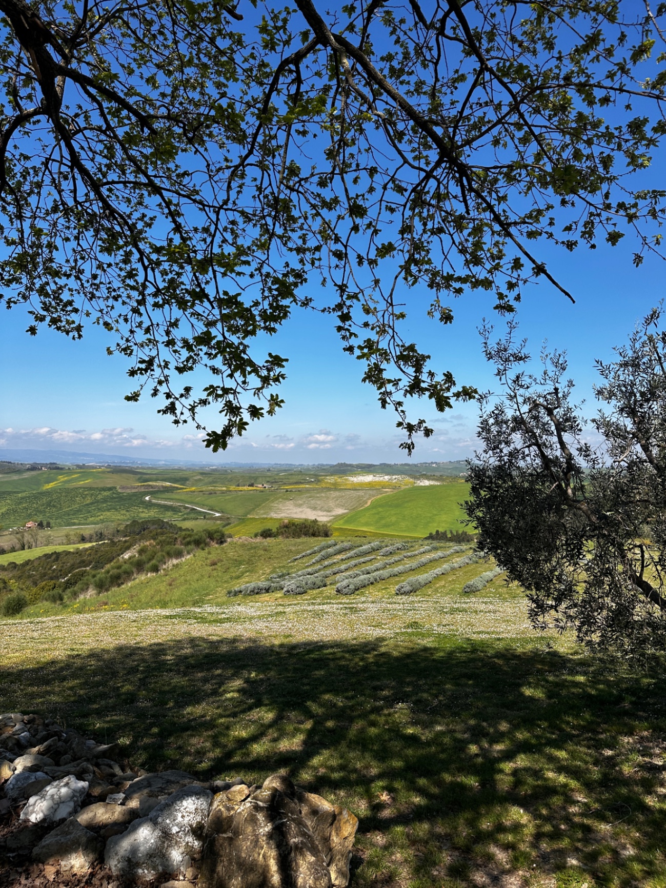 Views across the Tuscan hills from Le Capanne