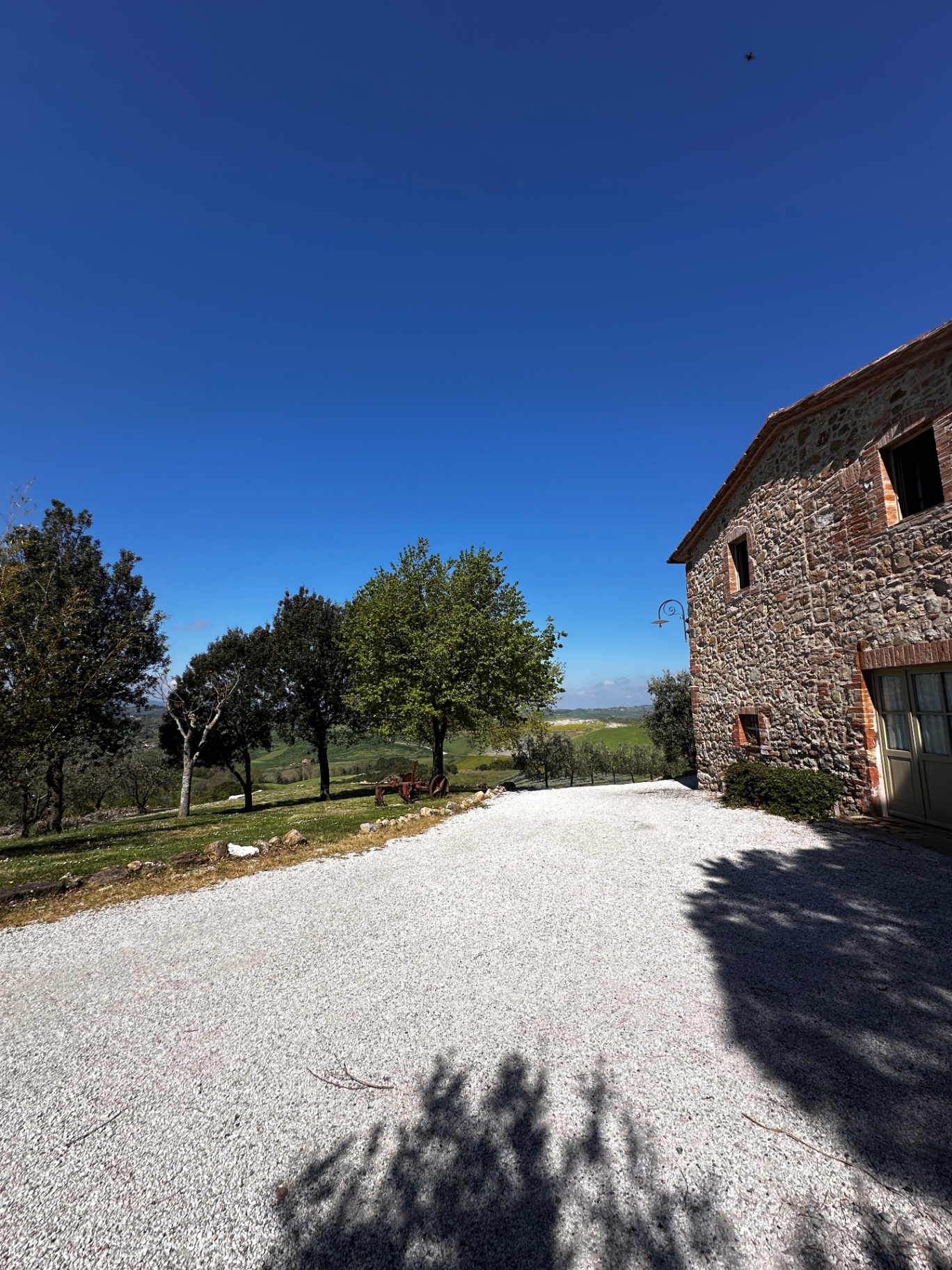 Driveway and cypress-lined approach at Le Capanne